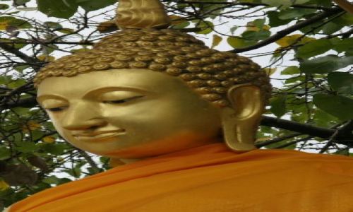 Zdjęcie TAJLANDIA / brak / Phitsanulok / Budda