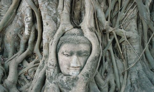 Zdjecie TAJLANDIA / Ajutthaja / Ajutthaja / Budda