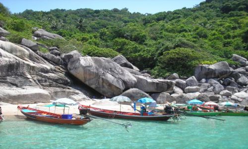 Zdjęcie TAJLANDIA / Ko Samui (wyspa) / przystań / przystań