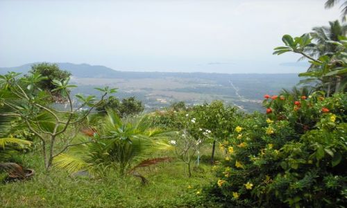 Zdjęcie TAJLANDIA / Ko Samui (wyspa) / na trasie / taki sobie nieskalany zakątek na wyspie