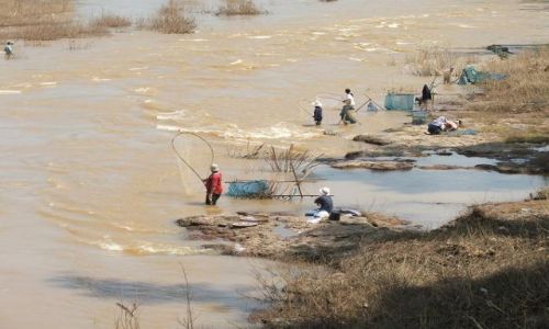 Zdjęcie TAJLANDIA / brak / phrae / rybki