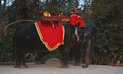 Zdjęcie TAJLANDIA / -park narodowy Erewan / Bangkok / na postoju