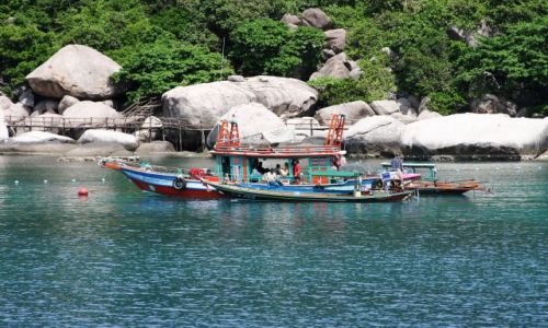 Zdjęcie TAJLANDIA / - / Koh Samui / Koh Tao