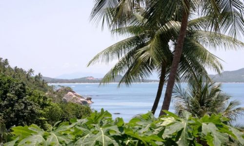 Zdjecie TAJLANDIA / - / Koh Samui / Koh Samui