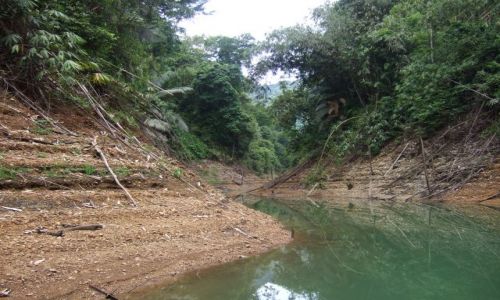 Zdj�cie TAJLANDIA / po�udnie kraju / khao sok / tajlandia