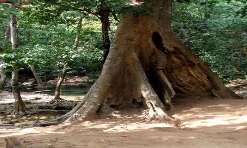 Zdjęcie TAJLANDIA / Kanchanaburi / okolice Nam Tok / ...  grunt, to pewnie stanąć....