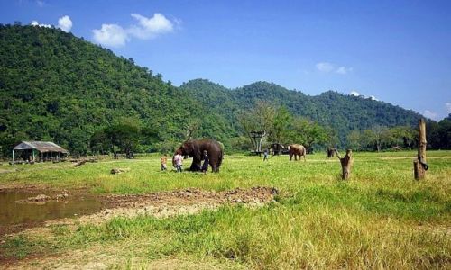 Zdjecie TAJLANDIA / Chiang Mai / Elephant Nature Park / Schronisko dla soni