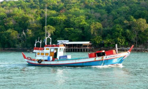 Zdjęcie TAJLANDIA / Morze Andamańskie / Ko Yao Noi / Będą świeże kalmary