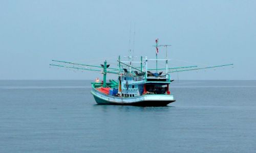 Zdjęcie TAJLANDIA / Morze Andamańskie / okolice Krabi / Krewetkowiec
