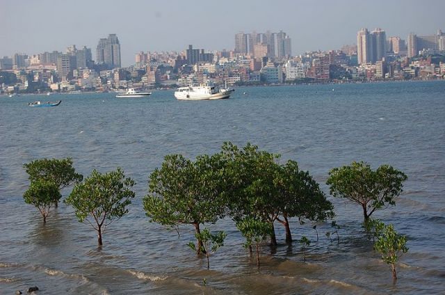 Zdjęcia: Taipei, Danshui, TAJWAN Zdjęcia: Taipei, Danshui, TAJWAN