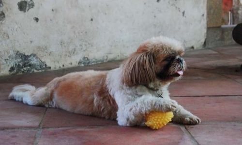 Zdjęcie TAJWAN / - / Tainan / Uff...jak gorąco...