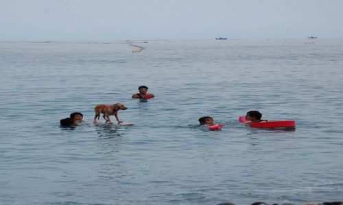 Zdjęcie TAJWAN / - / Hualien / Surfers Rulez