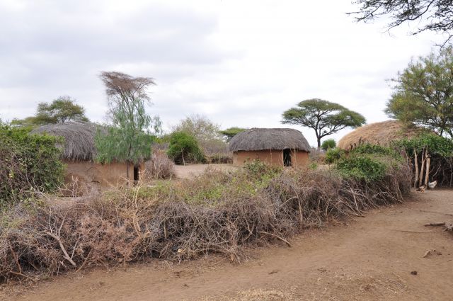 Zdjęcia: Longido, Masajskie maniaty, TANZANIA Zdjęcia: Longido, Masajskie maniaty, TANZANIA
