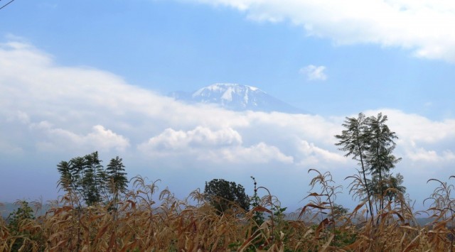 Zdj cia: Tanzania, Tanzania, Kili4, TANZANIA