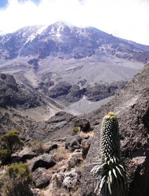 Zdj cia: Tanzania, Tanzania, Kili9, TANZANIA