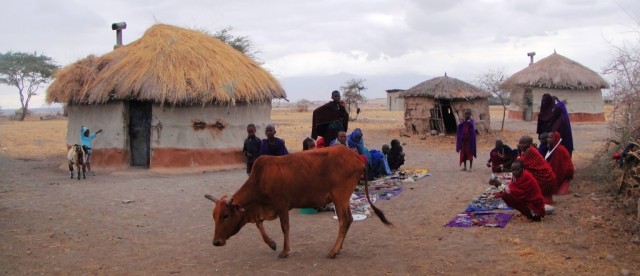 Zdj cia: Tanzania, Tanzania, Kili25, TANZANIA