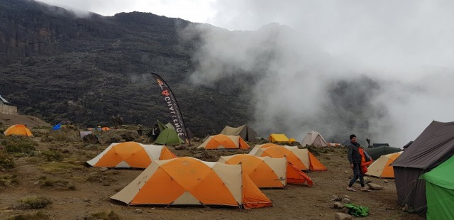 Zdj cia:  , Kilimandaro, Barranco Wall, TANZANIA