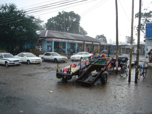 Zdjęcia: Arusha, północna Tanzania , pokropiło.... , TANZANIA Zdjęcia: Arusha, północna Tanzania , pokropiło.... , TANZANIA
