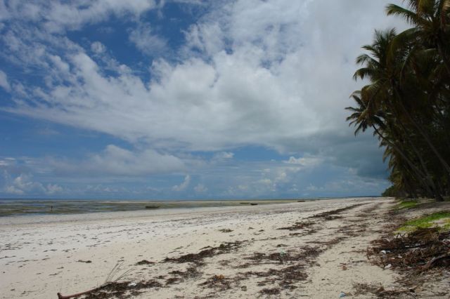 Zdjęcia: Zanzibar, Plaza, TANZANIA Zdjęcia: Zanzibar, Plaza, TANZANIA