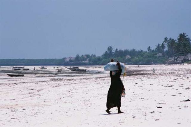 Zdjęcia: Jambiani, Zanzibar, Zebrane algi-całodzienny plon, TANZANIA Zdjęcia: Jambiani, Zanzibar, Zebrane algi-całodzienny plon, TANZANIA