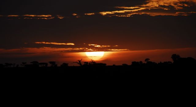 Zdjęcia: Serengeti, Serengeti, wschod slonca , TANZANIA Zdjęcia: Serengeti, Serengeti, wschod slonca , TANZANIA