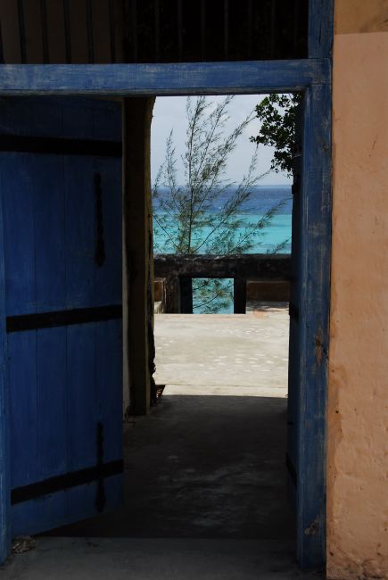 Zdjęcia: Zanzibar, Zanzibar, widok, TANZANIA Zdjęcia: Zanzibar, Zanzibar, widok, TANZANIA