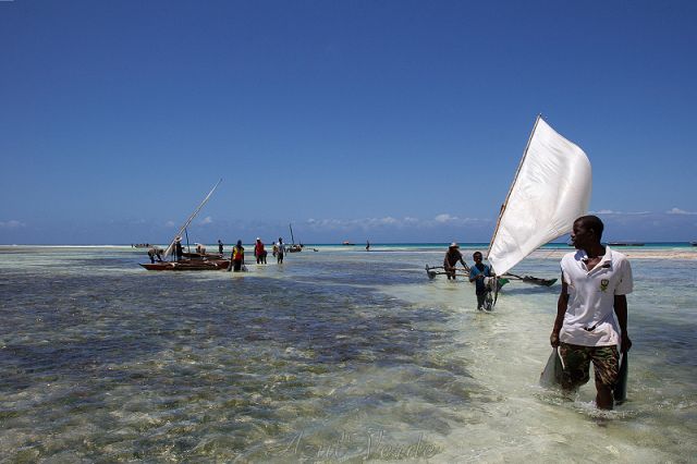 Zdjęcia: Zanzibar, Powrót z połowu, TANZANIA Zdjęcia: Zanzibar, Powrót z połowu, TANZANIA