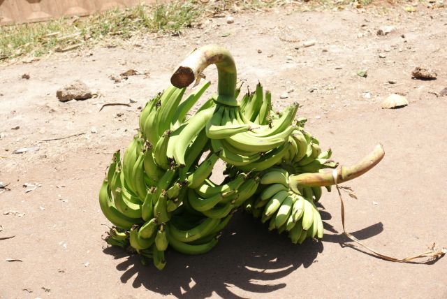 Zdjęcia: Mto Wa Mbu, Manyara, Oferta handlowa, TANZANIA Zdjęcia: Mto Wa Mbu, Manyara, Oferta handlowa, TANZANIA