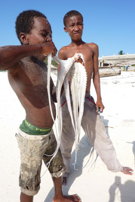 Zdjęcia: tanzania, zanzibar, udany połów, TANZANIA Zdjęcia: tanzania, zanzibar, udany połów, TANZANIA