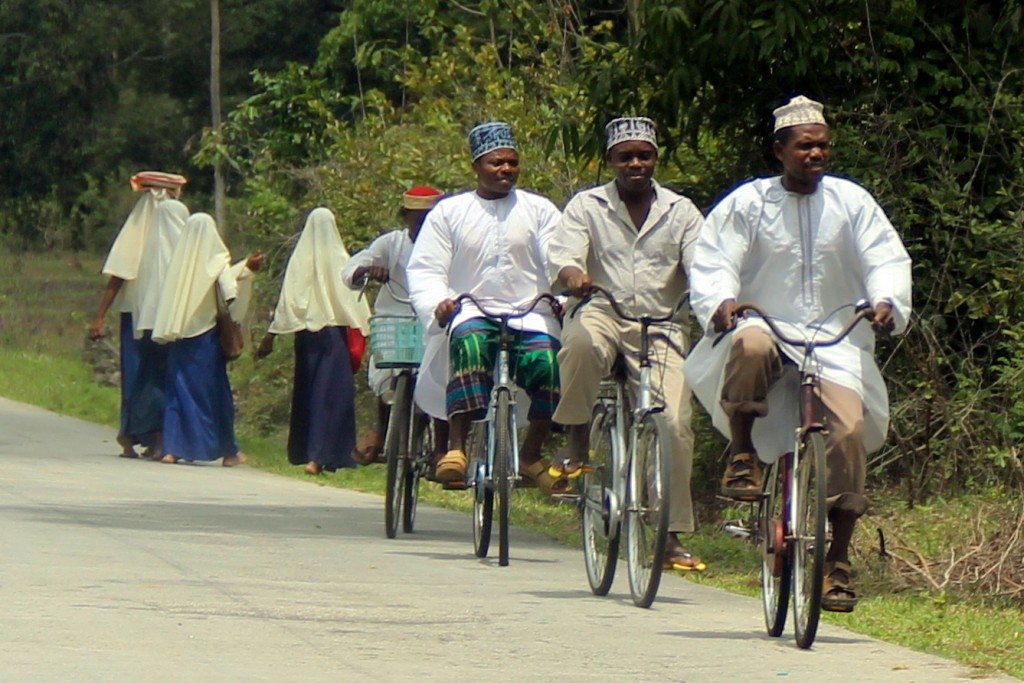 Zdjęcia: Zanzibar, Zanzibar, Moj ulubiony to ten w w spodniach w kratke :), TANZANIA Zdjęcia: Zanzibar, Zanzibar, Moj ulubiony to ten w w spodniach w kratke :), TANZANIA
