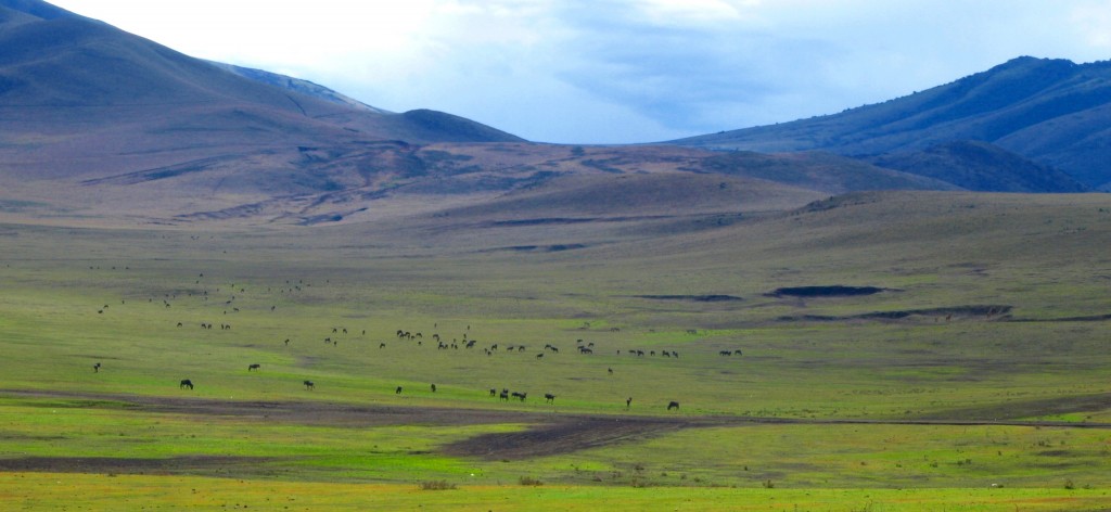Zdjęcia: Moshi, W drodze do Serengeti, TANZANIA Zdjęcia: Moshi, W drodze do Serengeti, TANZANIA