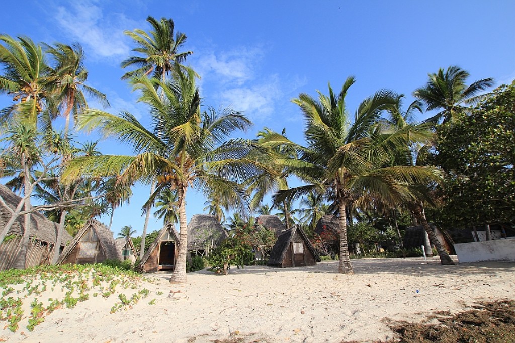 Zdjęcia: Tanzania, Tanzania, Nad oceanem - okolice Pangani, TANZANIA Zdjęcia: Tanzania, Tanzania, Nad oceanem - okolice Pangani, TANZANIA