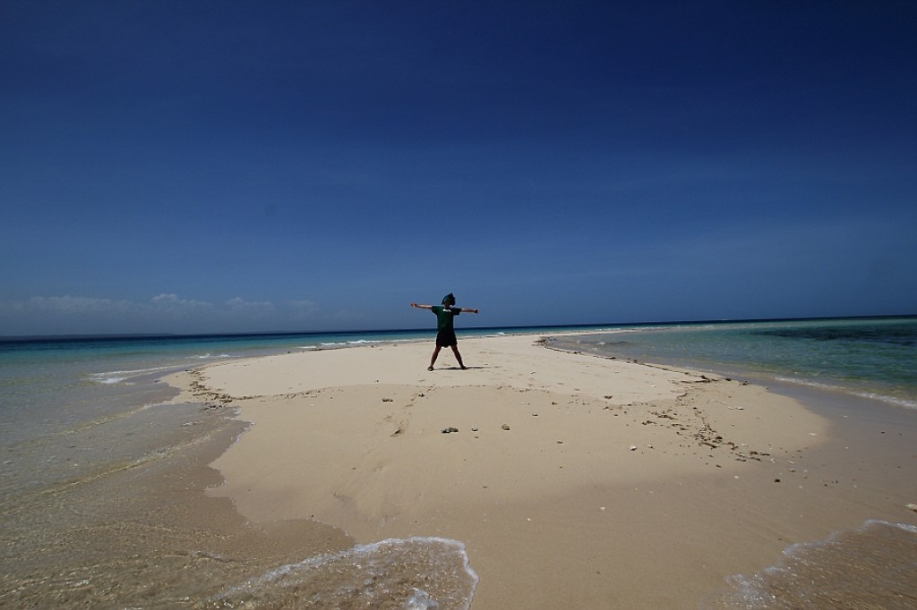 Zdjęcia: Tanzania, Tanzania, Moja wyspa, TANZANIA Zdjęcia: Tanzania, Tanzania, Moja wyspa, TANZANIA