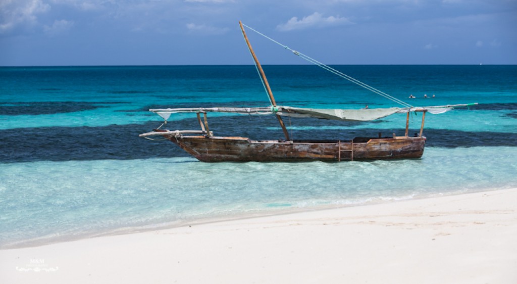 Zdjęcia: Zanzibar, Zanzibar, Safari Blue, TANZANIA Zdjęcia: Zanzibar, Zanzibar, Safari Blue, TANZANIA
