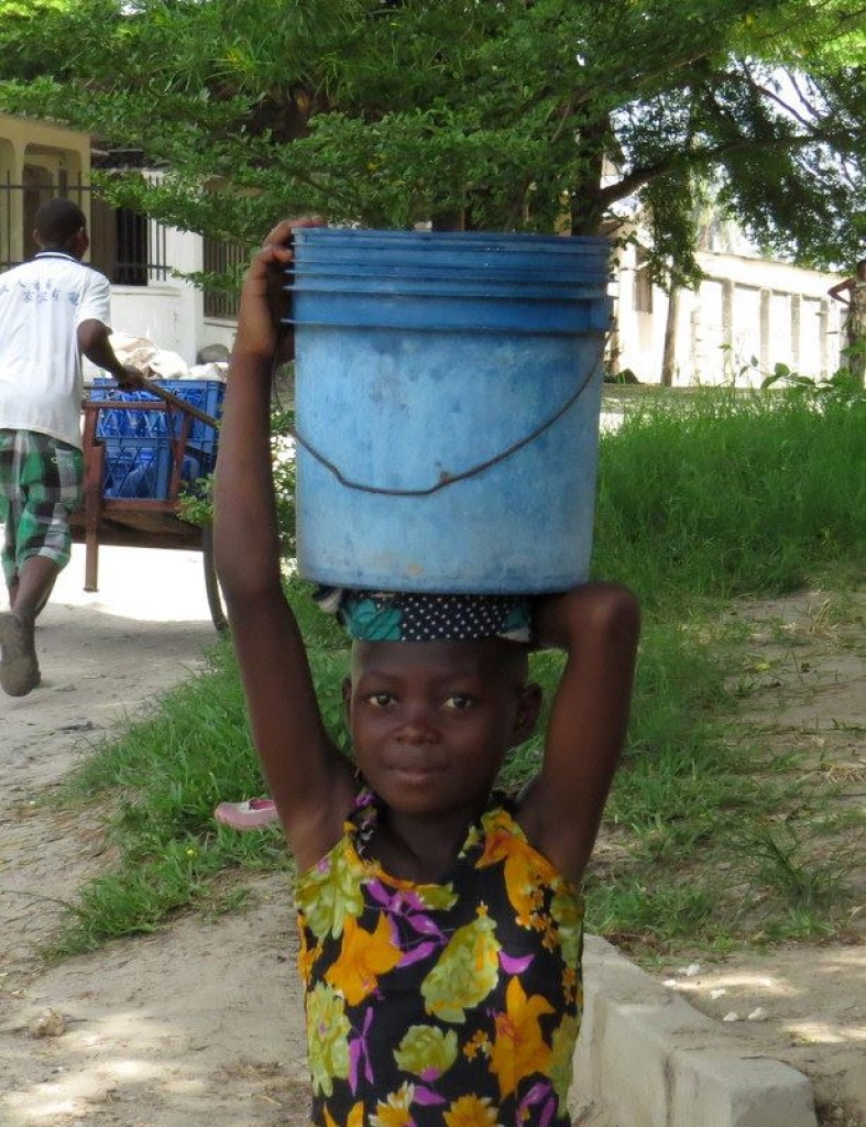 Zdjęcia: Afryka dzika;), Tanzania, Dar es Salaam, TANZANIA Zdjęcia: Afryka dzika;), Tanzania, Dar es Salaam, TANZANIA