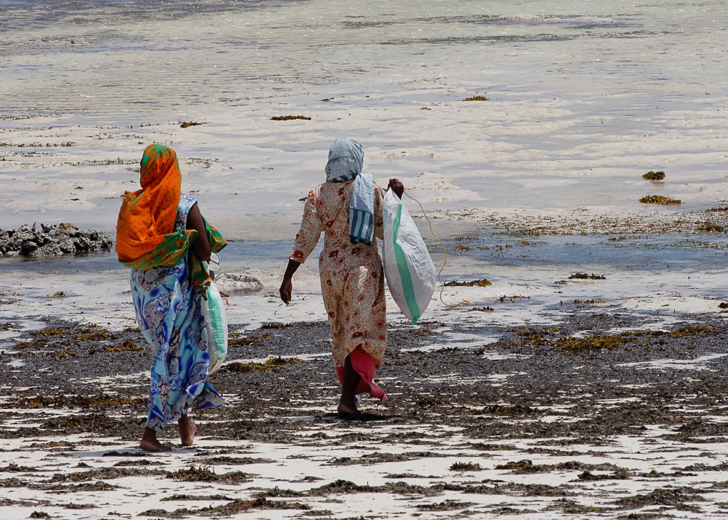 Zdjęcia: Jambiani, Zanzibar, Kolory Zanzibaru, TANZANIA Zdjęcia: Jambiani, Zanzibar, Kolory Zanzibaru, TANZANIA