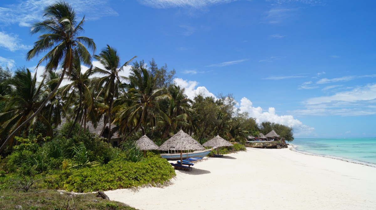 Zdjęcia: Pongwe, Zanzibar, Plaża marzeń, TANZANIA Zdjęcia: Pongwe, Zanzibar, Plaża marzeń, TANZANIA