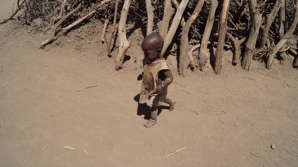 Zdjęcia: Serengeti, Serengeti, Śpieszę się, TANZANIA Zdjęcia: Serengeti, Serengeti, Śpieszę się, TANZANIA