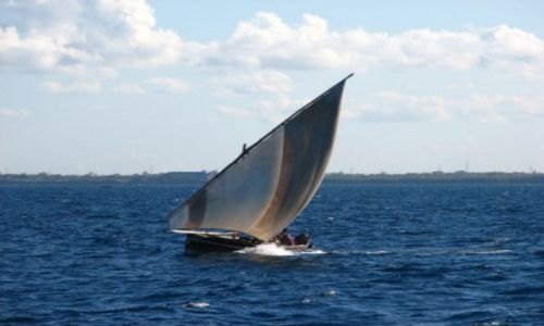 Zdjecie TANZANIA / brak / Ocean Indyjski / Dow