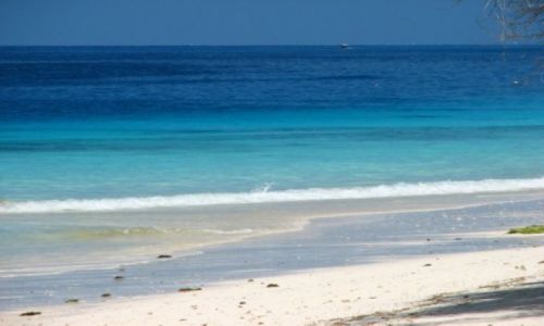 Zdjecie TANZANIA / brak / Zanzibar / plaze Zanzibaru