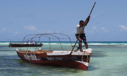 Zdjecie TANZANIA / Zanzibar / Kizimkazi / Moby Dick