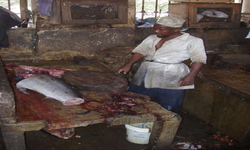Zdjecie TANZANIA / Zanzibar / Stone Town - targ rybny / Krwawa jatka