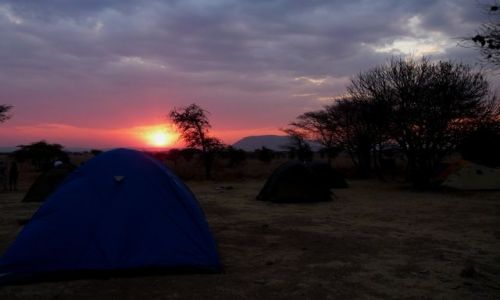 Zdjcie TANZANIA / Serengeti National Park / Serengeti Lodge / KONKURS Zachd  Soca w Serengeti