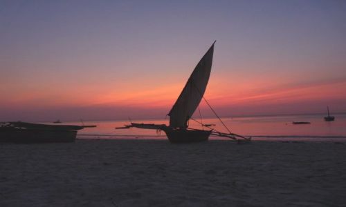 Zdjęcie TANZANIA / Zanzibar / Kiwengwa / KONKURS Zanzibar