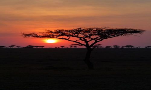 Zdjecie TANZANIA / Serengeti / Serengeti / KONKURS Serengeti