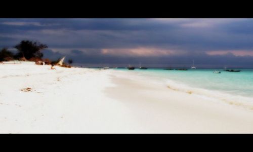 Zdjecie TANZANIA / - / ZANZIBAR / ZANZIBAR