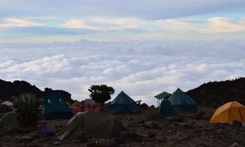 Zdjecie TANZANIA / Park Narodowy Kilimanjaro / Obz Baranco / KONKURS   bujanie ponad obokami