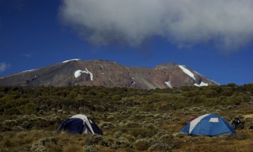Zdjecie TANZANIA / KILIMANJARO / Park Narodowy Kilimanjaro / KONKURS. W drodze na Kili