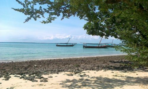 Zdjecie TANZANIA / Zanzibar / Bwejuu / KONKURS. Sielsko na Zanzi