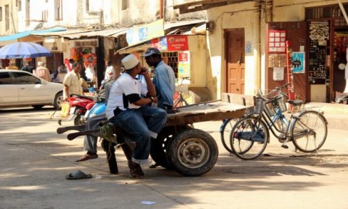 Zdjcie TANZANIA / Zanzibar / StoneTown / Inna stanowisko pracy 